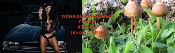кокаин Заводоуковск