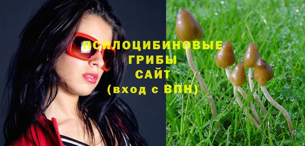 гашик Зеленодольск