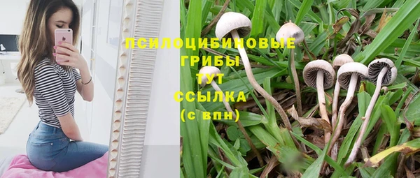 мяу мяу кристалл Заволжье