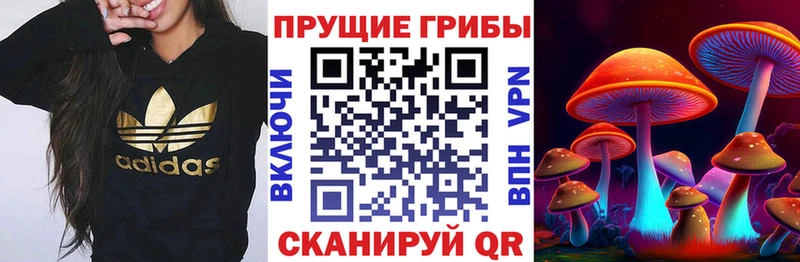 где найти наркотики  Рубцовск  Псилоцибиновые грибы Magic Shrooms 